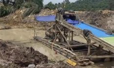 PETI Pulau Loweh: Ketika Emas Mengkilap, Hukum Jangan Sampai Redup