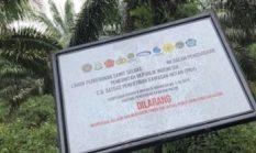 Plang Satgas PKH Terpasang di Dumai, Aktivitas di Atas Lahan dalam Penguasaan Negara Jadi Sorotan